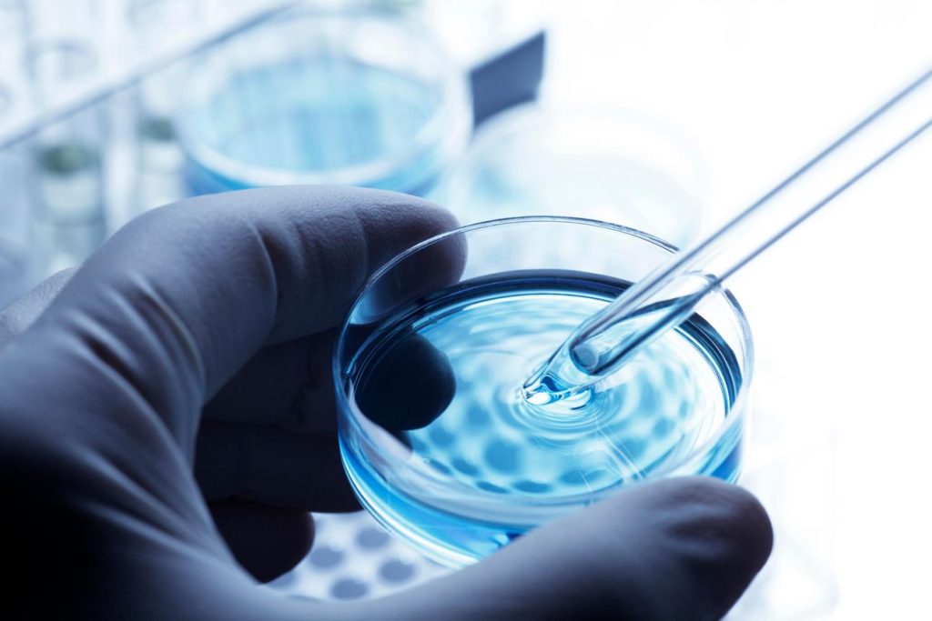 細胞・微生物観察